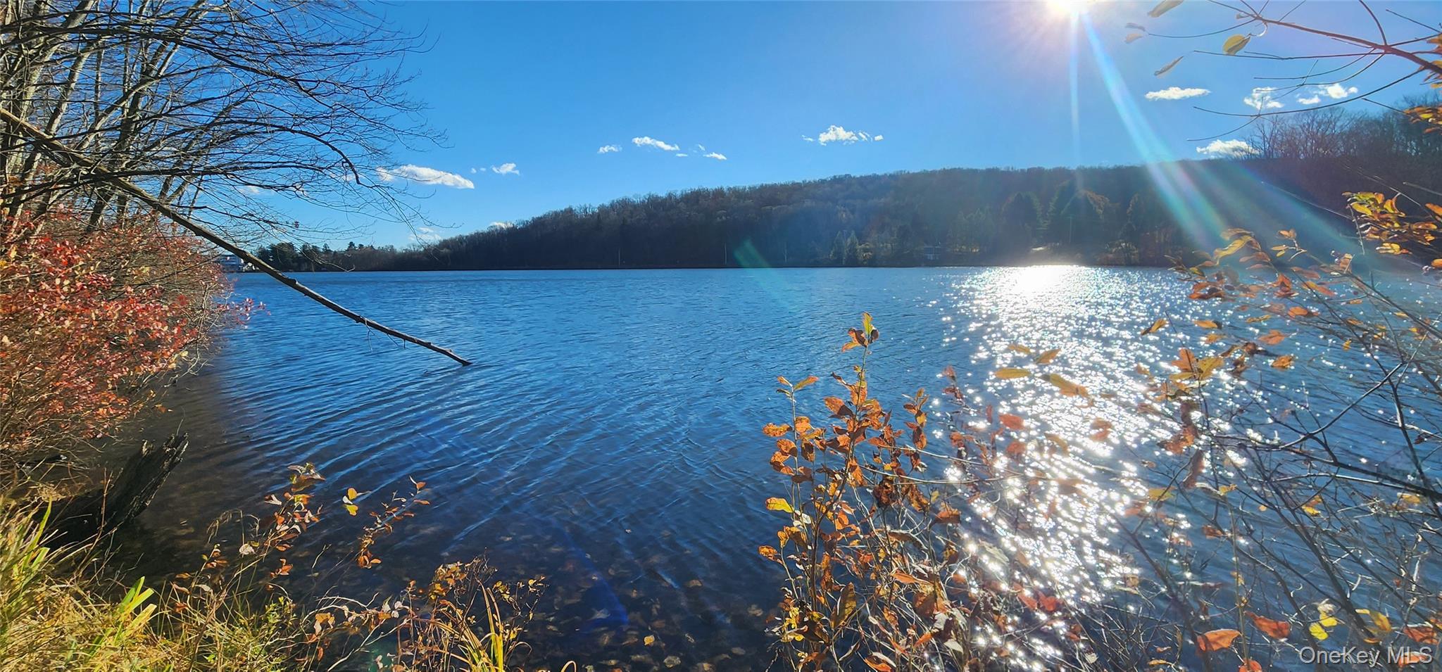 371 Kelly Bridge Road, Unit 365 Swan Lake, NY 12783 - Photo 16 of 21 a picture of flowers