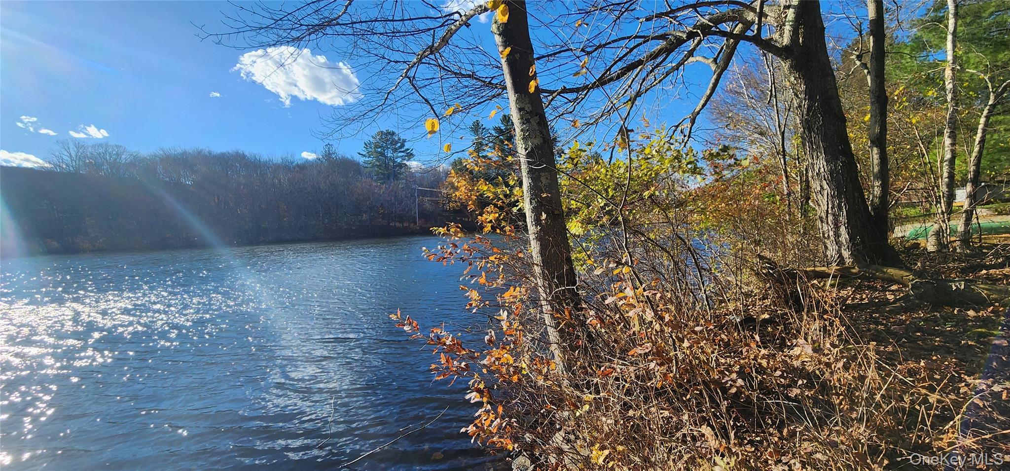 371 Kelly Bridge Road, Unit 365 Swan Lake, NY 12783 - Photo 17 of 21 a view of a yard