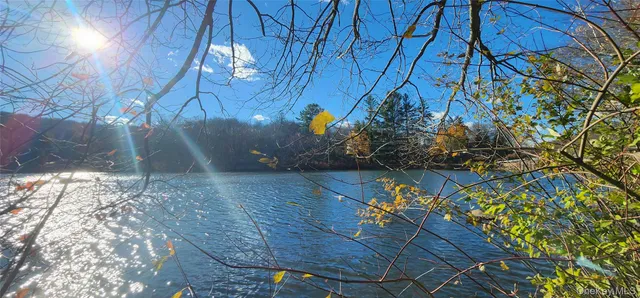 $275,000 | 371 Kelly Bridge Road, Unit 365, Swan Lake, NY 12783