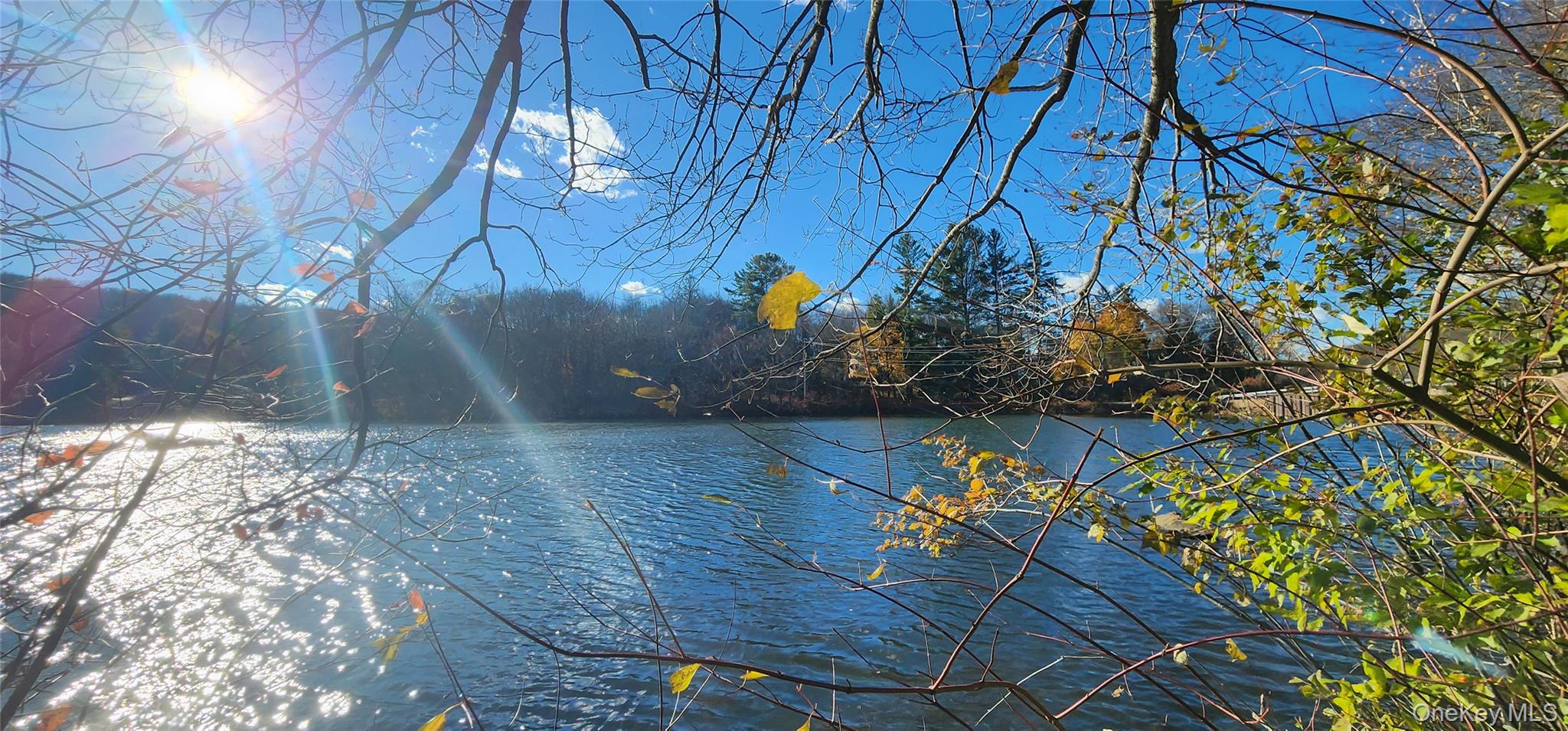 371 Kelly Bridge Road, Unit 365 Swan Lake, NY 12783 - Photo 18 of 21 a view of yard