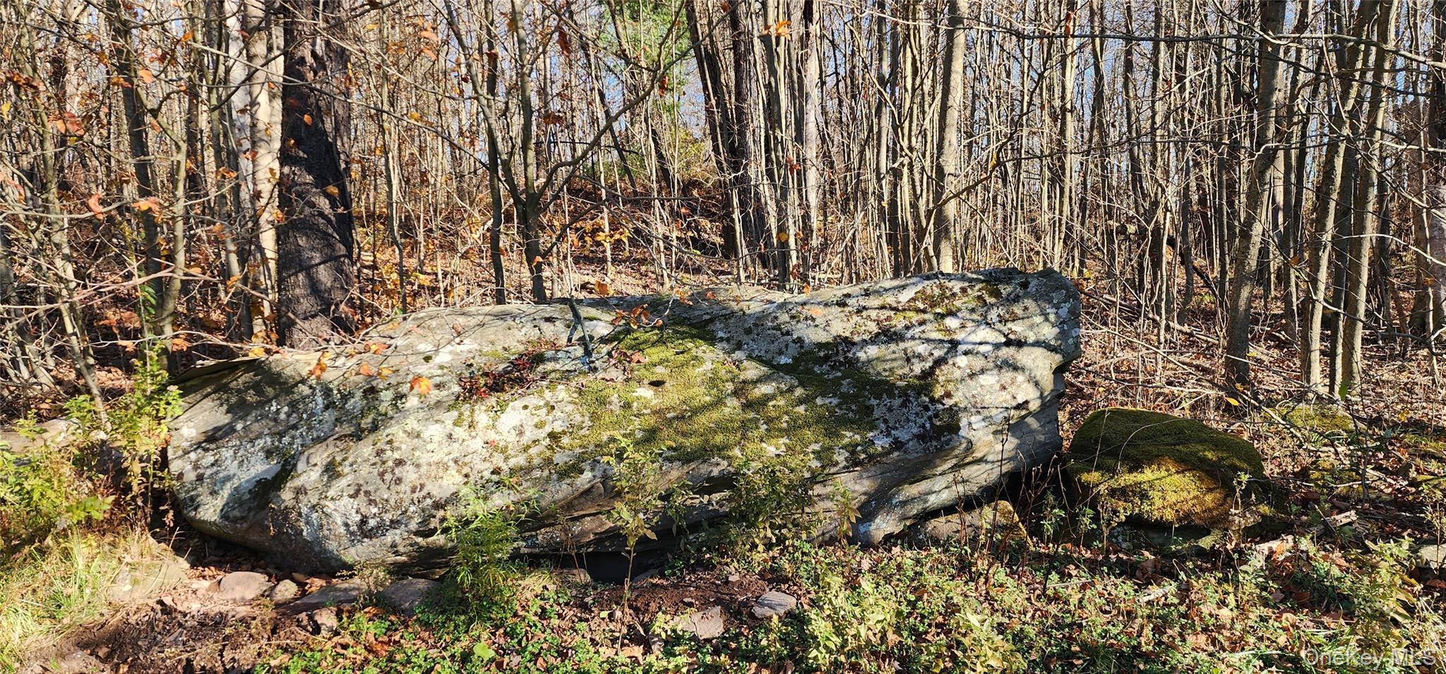 371 Kelly Bridge Road, Unit 365 Swan Lake, NY 12783 - Photo 19 of 21 a view of outdoor space with a tree