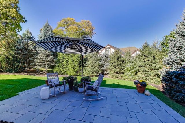 a view of backyard with potted plants and a large tree