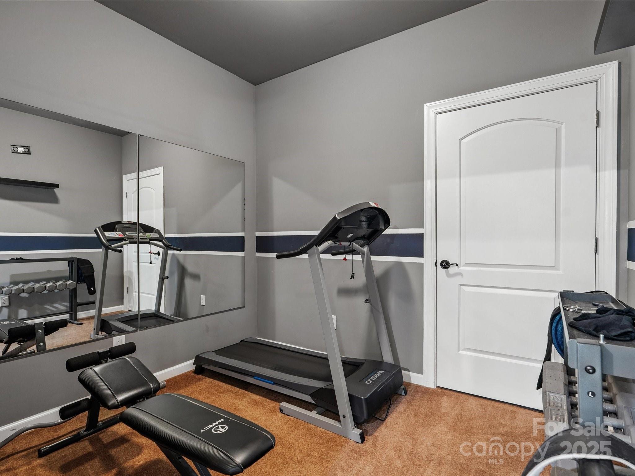 8407 Rolling Fields Road Mint Hill, NC 28227 - Photo 39 of 48 a room with gym equipment and a mirror