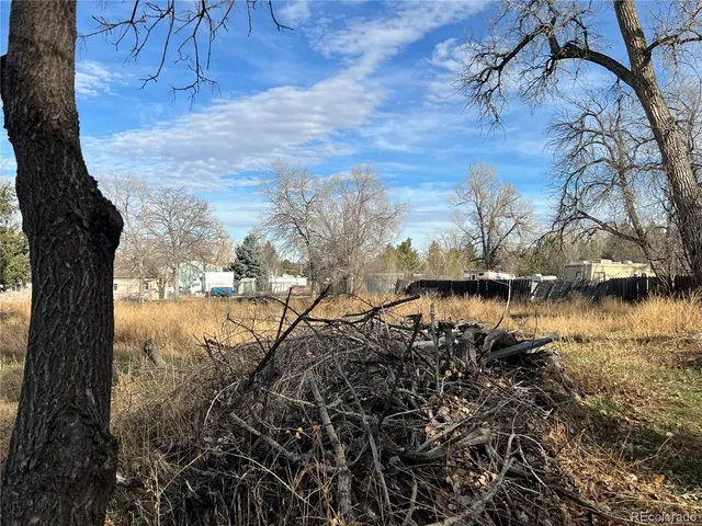 a view of a yard covered with snow