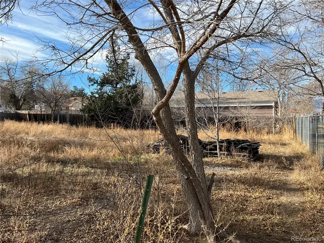 a view of a yard with a bench under large tree