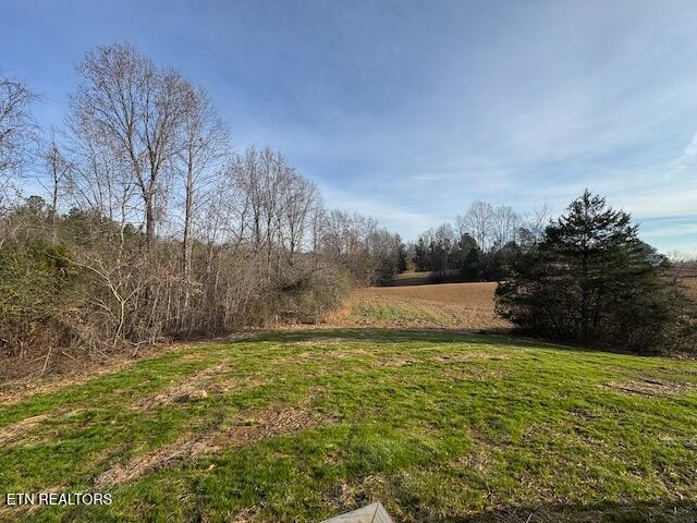 313 Salem Road McMinnville, TN 37110 - Photo 48 of 52 a view of yard with swimming pool and trees in the background
