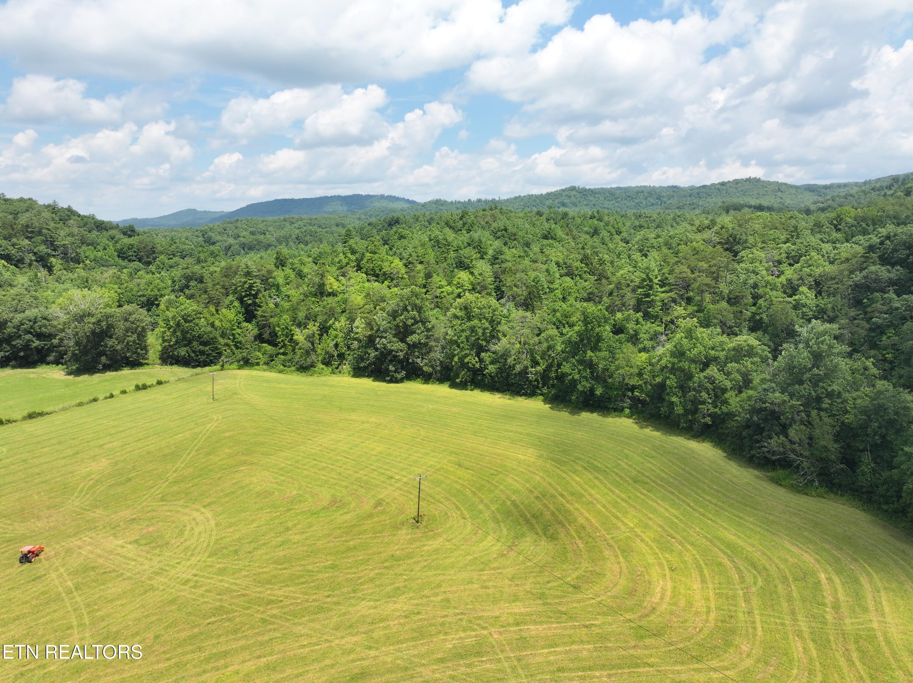 7914 Brimstone Road Robbins, TN 37852 - Photo 43 of 57 dji_fly_20260709_094228_0851_17836841040