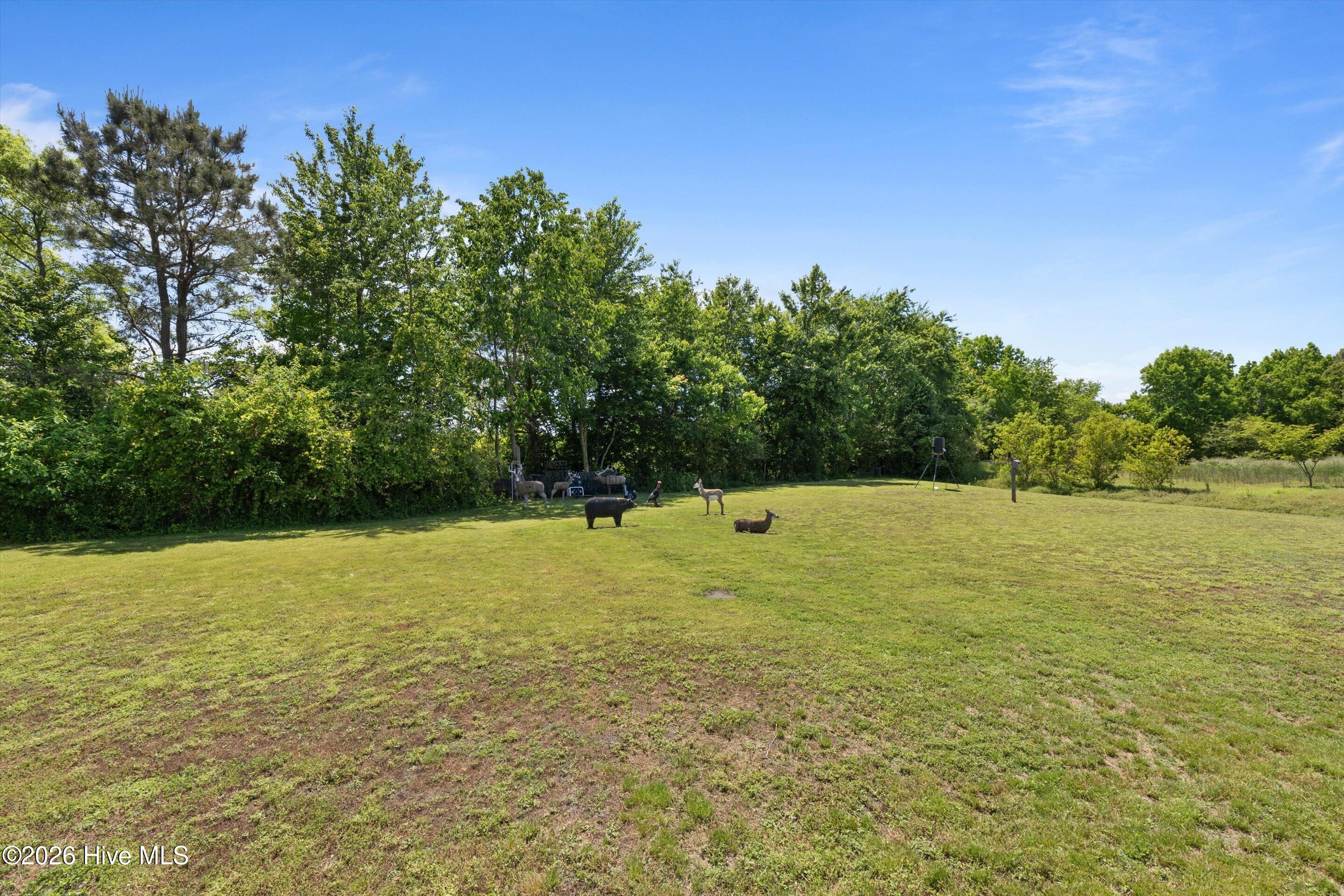 248 Green View Road Moyock, NC 27958 - Photo 28 of 38 29-6G5A9193