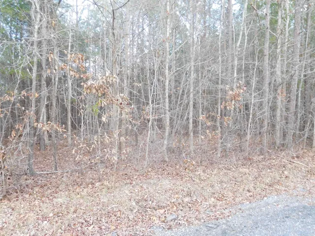 $750,000 | Tbd Tanners Road, Columbia, SC 29209