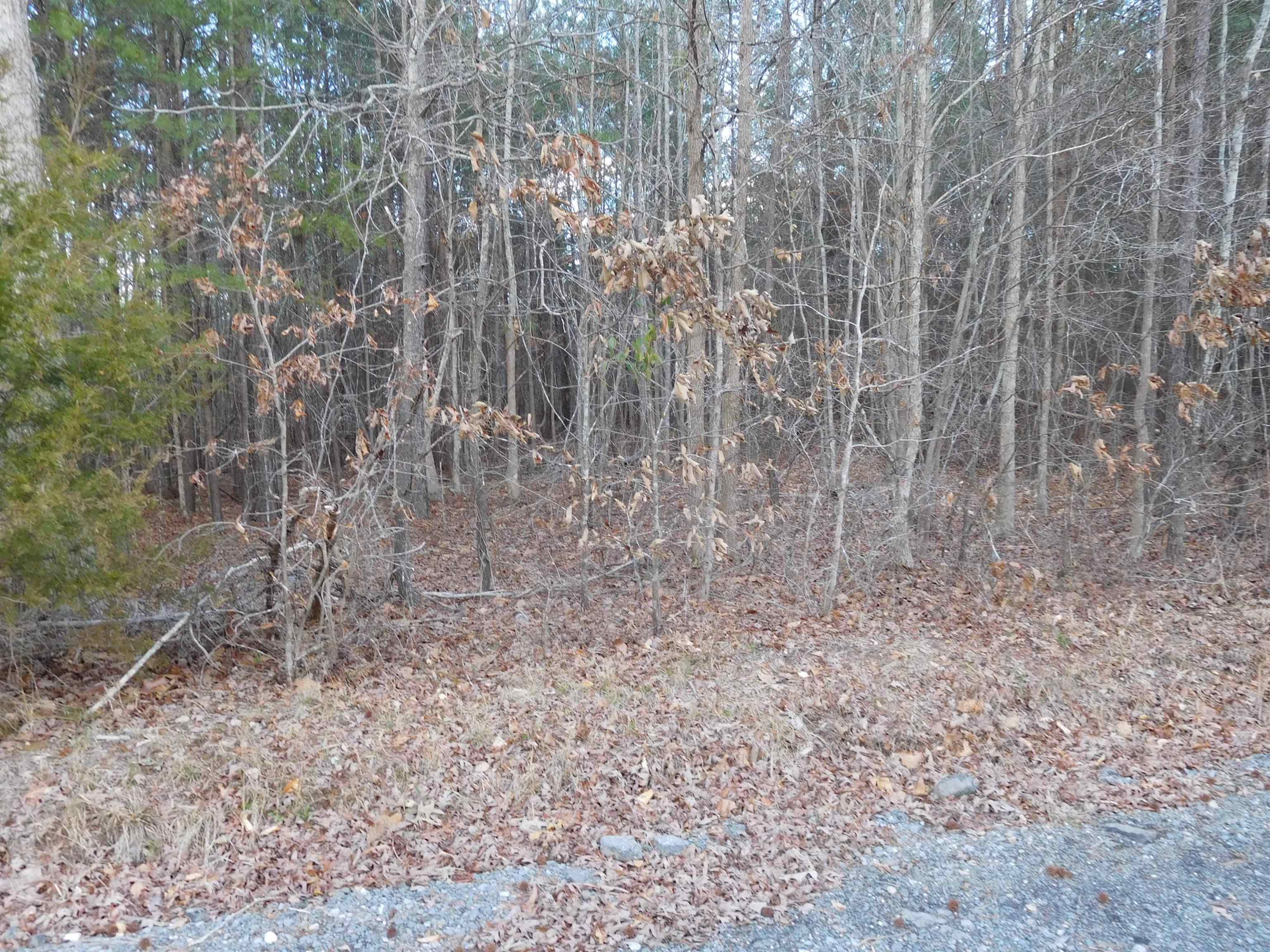 Tbd Tanners Road Columbia, SC 29209 - Photo 3 of 4