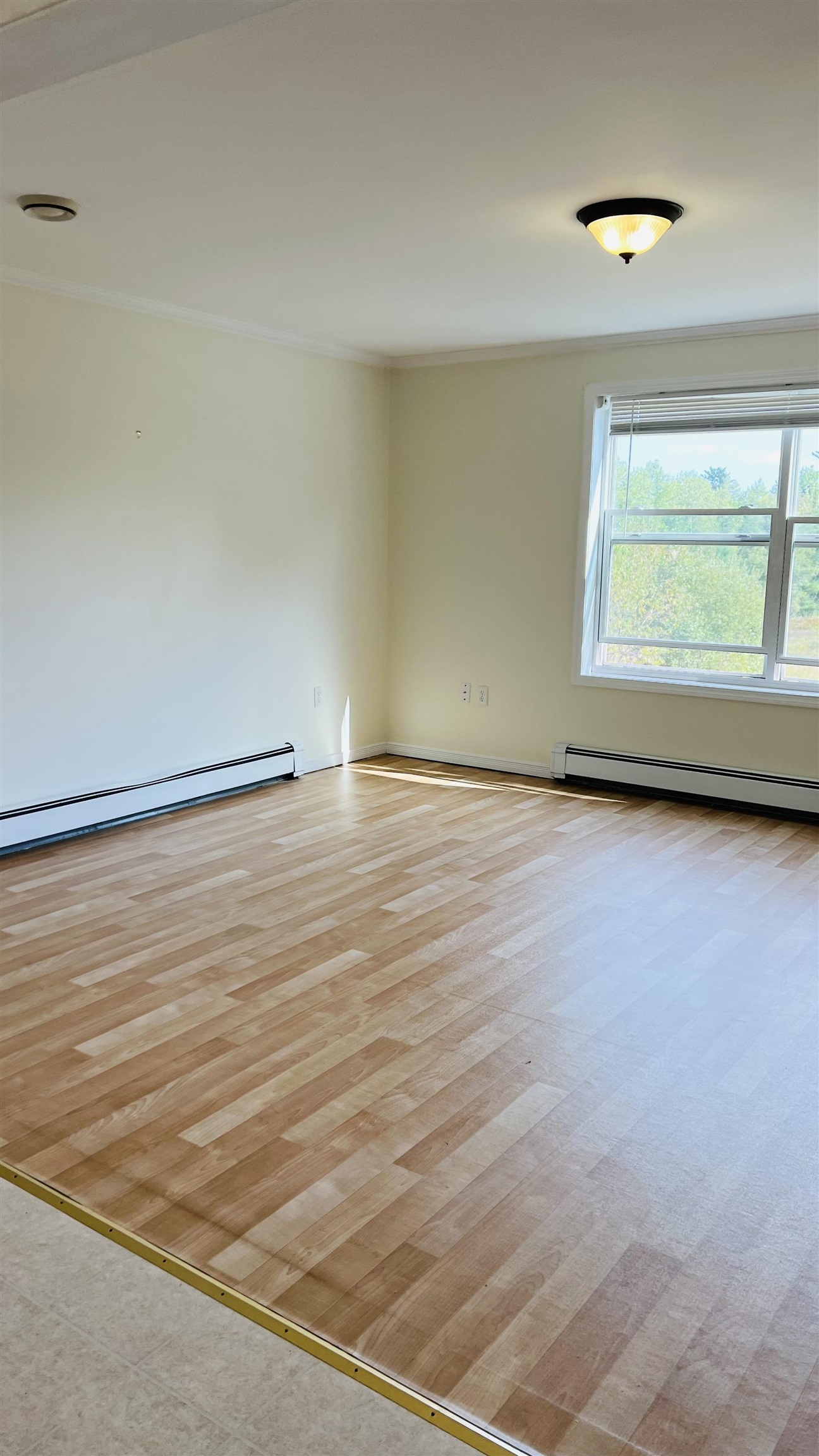 1310 Main Road Chatham, NH 03813 - Photo 4 of 26