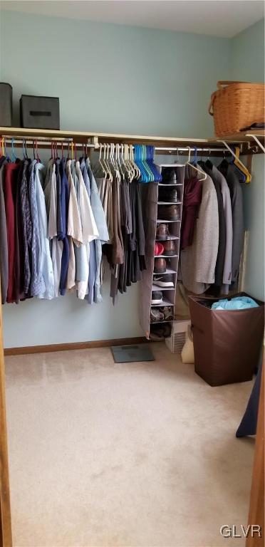 159 Meyer Road Nazareth, PA 18064 - Photo 19 of 19 a view of walk in closet with clothes and shoes