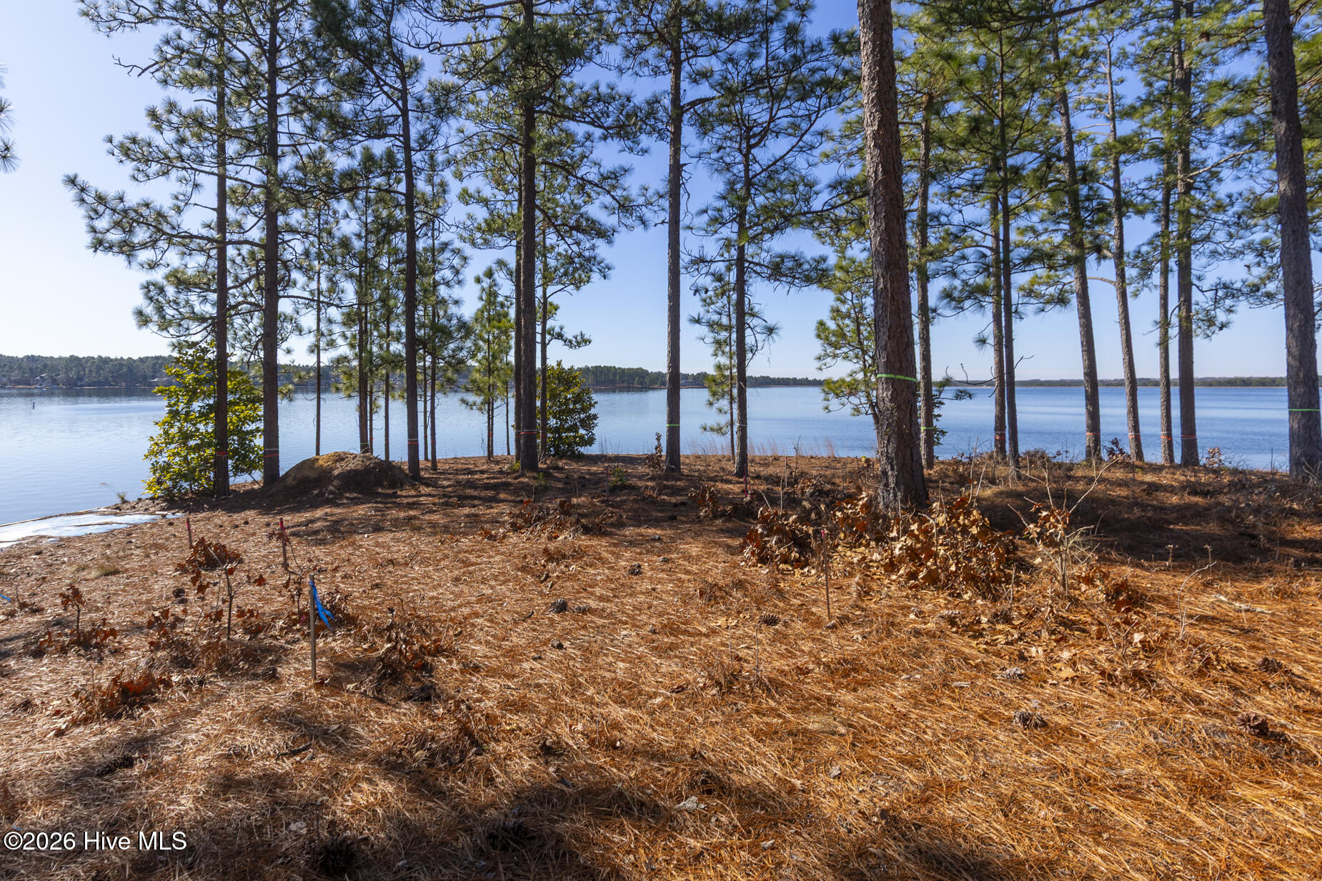 105 Mace Point Seven Lakes, NC 27376 - Photo 11 of 14 105 Mace Point_2