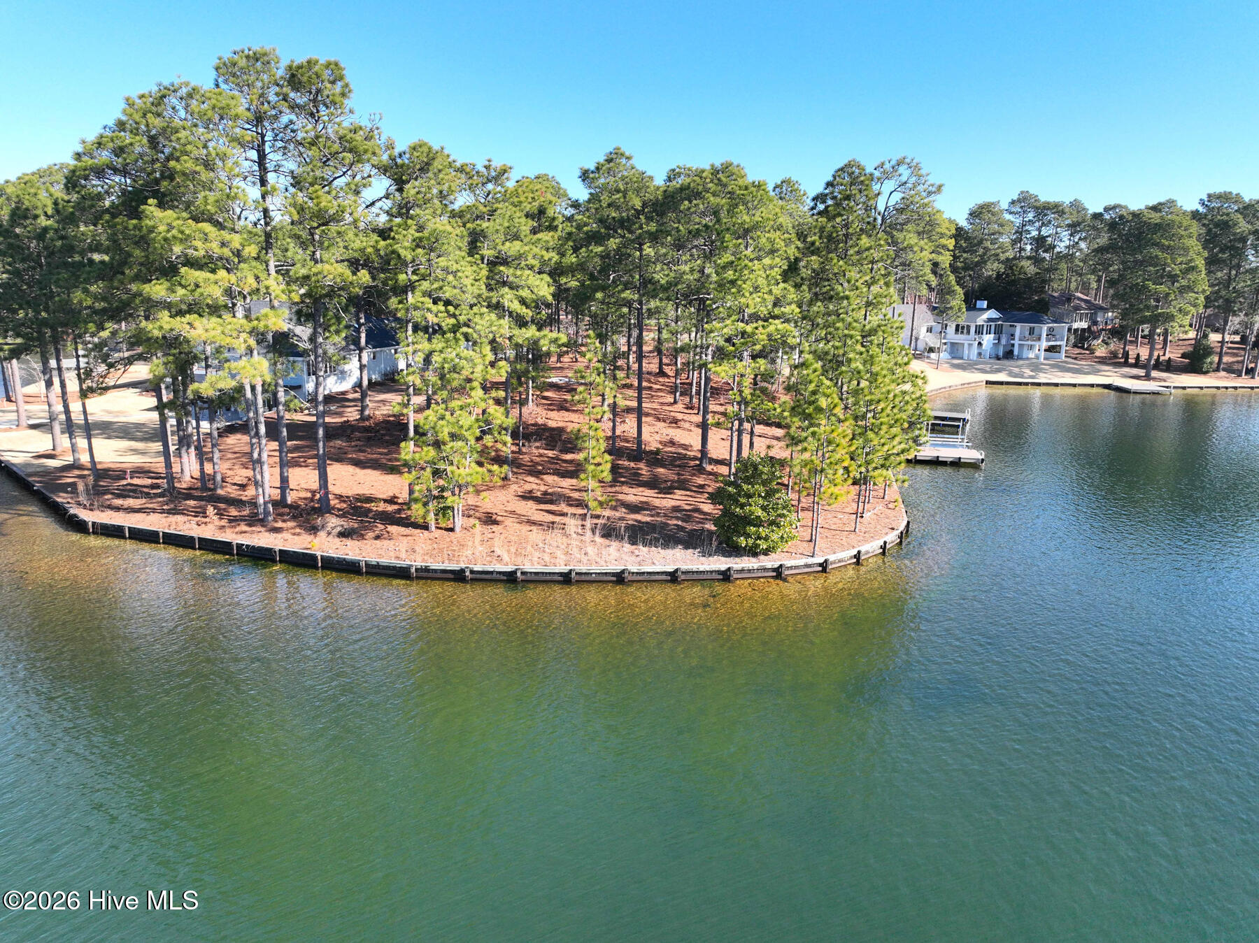 105 Mace Point Seven Lakes, NC 27376 - Photo 6 of 14 DJI_0060