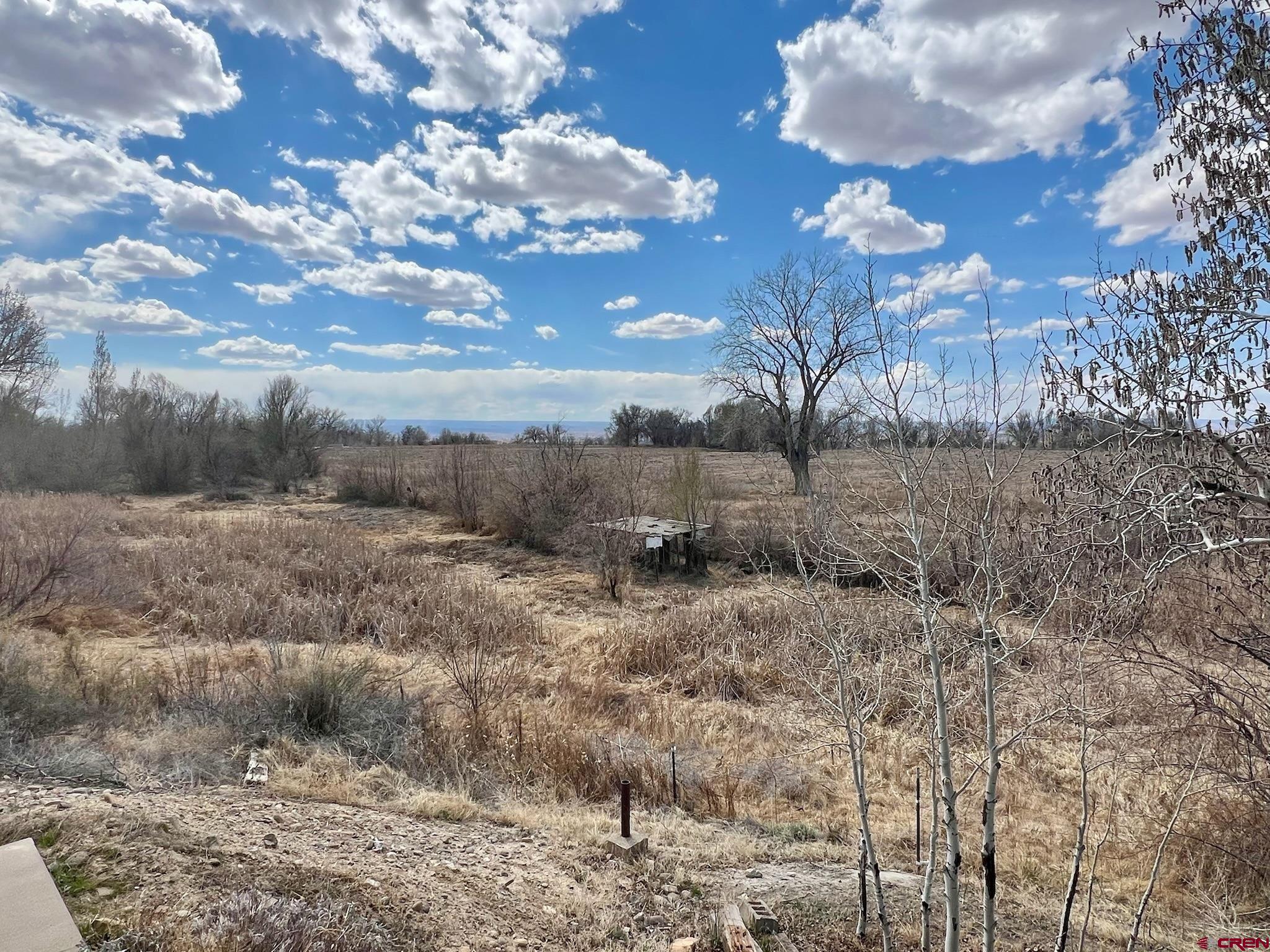 485 1740th Road Delta, CO 81416 - Photo 37 of 37 a view of a dry yard