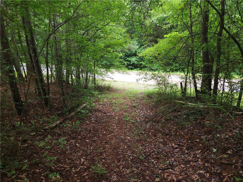 0 Potash Road Cedartown, GA 30125 - Photo 7 of 15