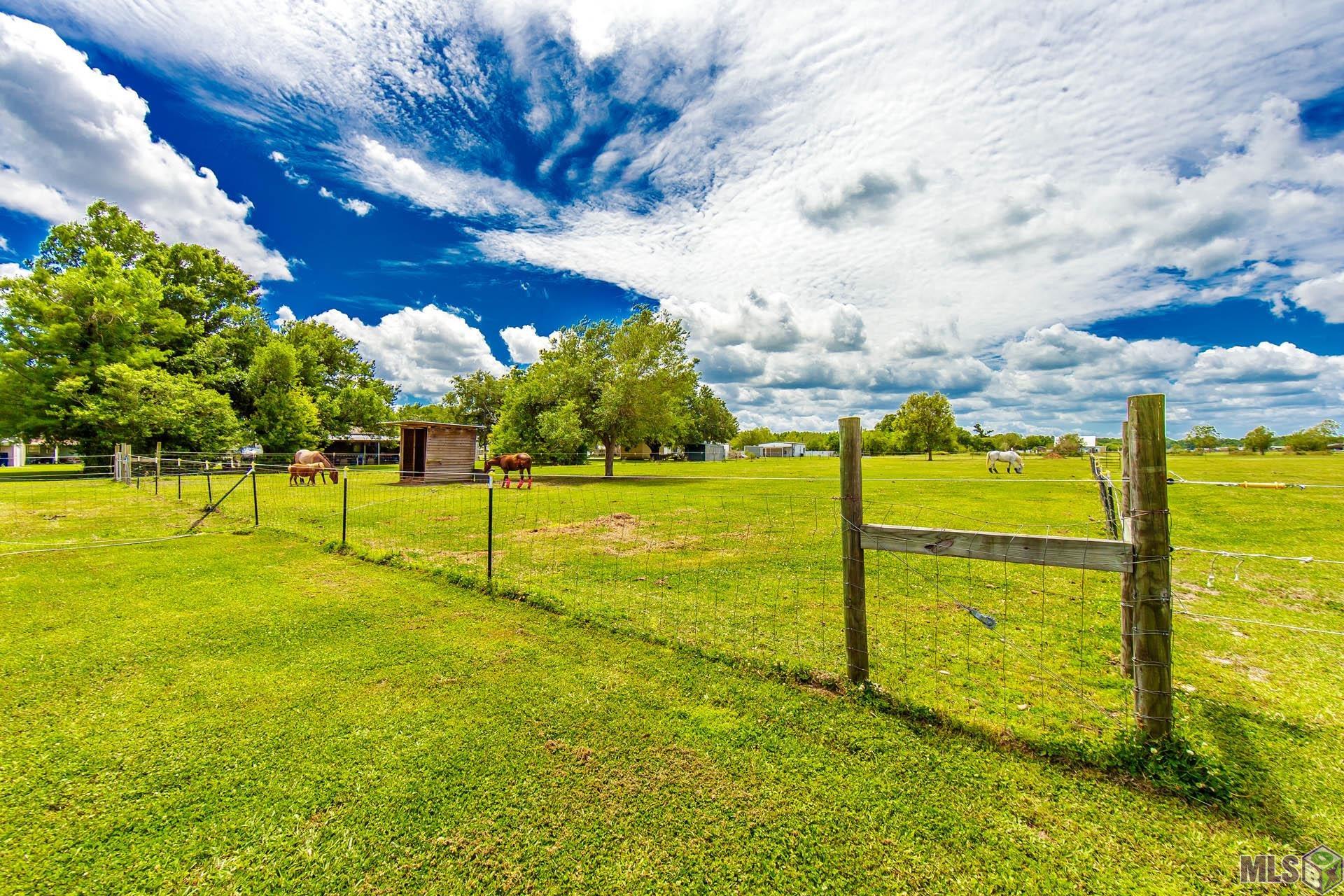 522 A Back Project Road Schriever, LA 70395 - Photo 12 of 21
