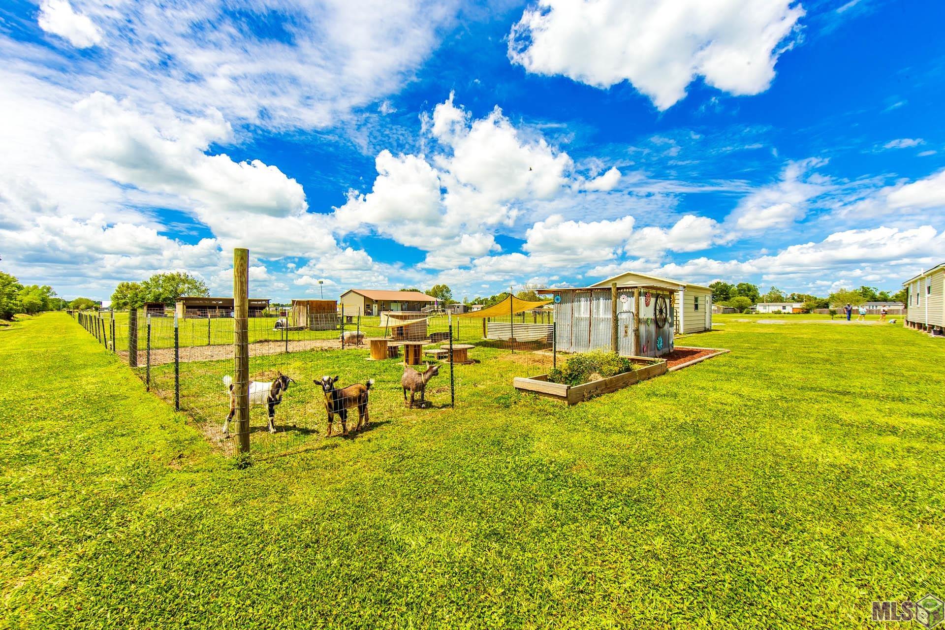 522 A Back Project Road Schriever, LA 70395 - Photo 10 of 21
