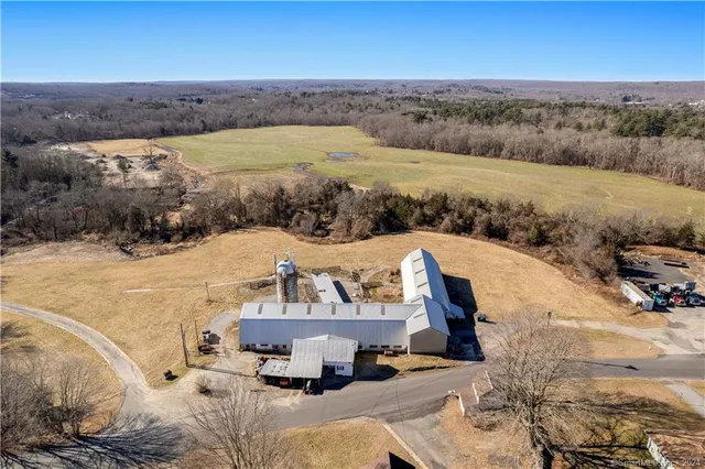 a roof deck view with tall trees