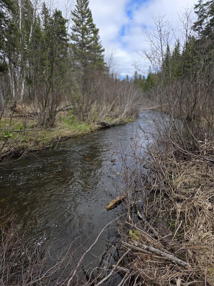4 Gendreau Road Madawaska, ME 04773 - Photo 12 of 16 20260512_134348
