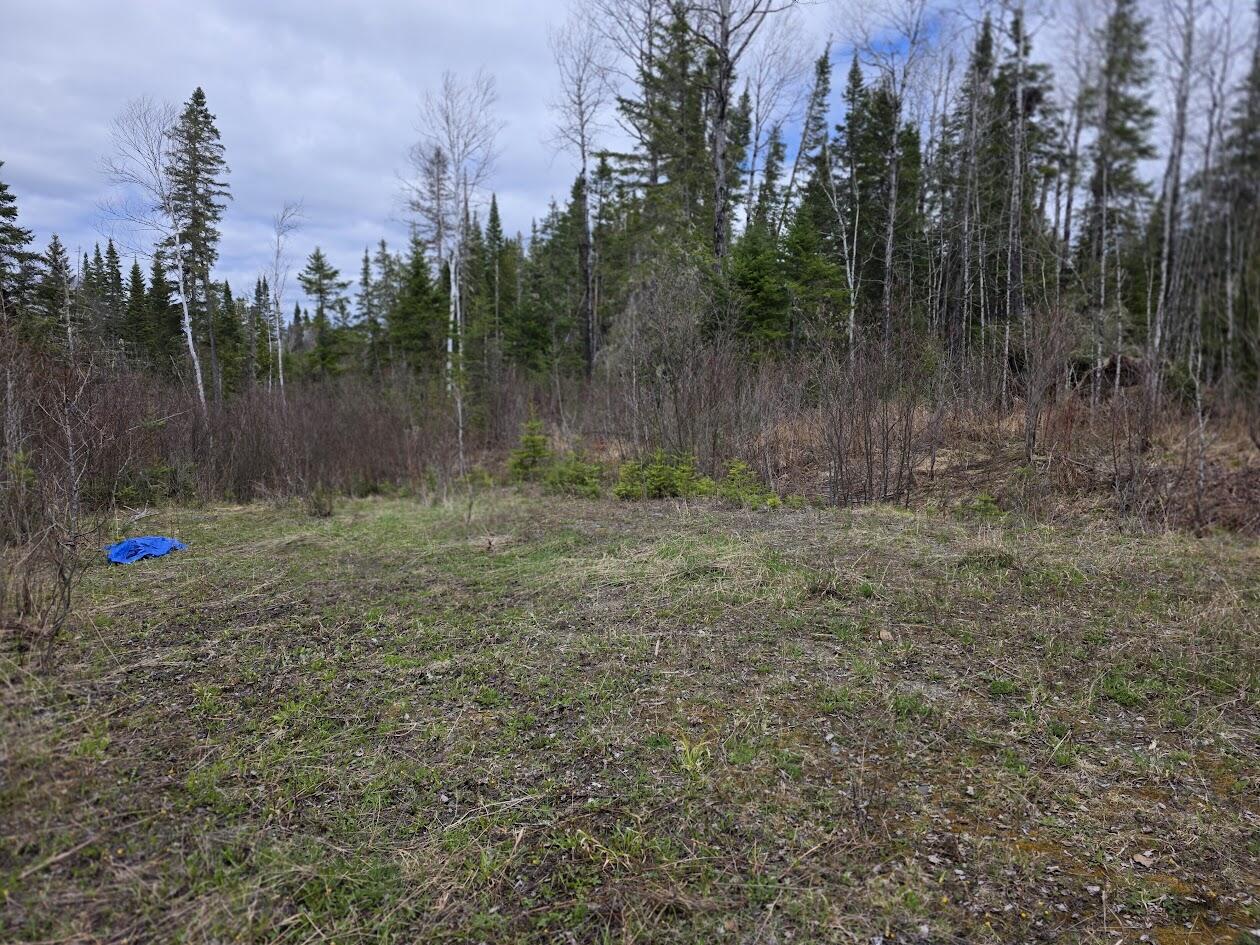 4 Gendreau Road Madawaska, ME 04773 - Photo 14 of 16 20260512_134610