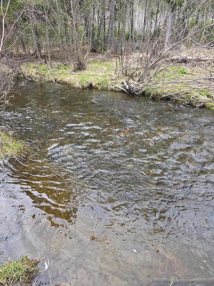 4 Gendreau Road Madawaska, ME 04773 - Photo 2 of 16 20260512_134236