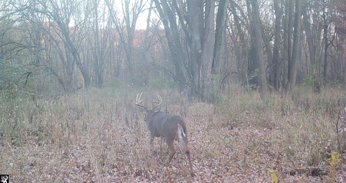 Prairie Lane Road Wooster, OH 44691 - Photo 25 of 28 View of undeveloped land