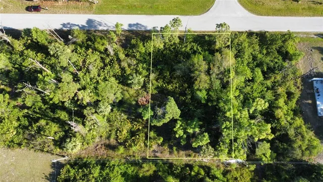 a view of a bunch of plants and small trees