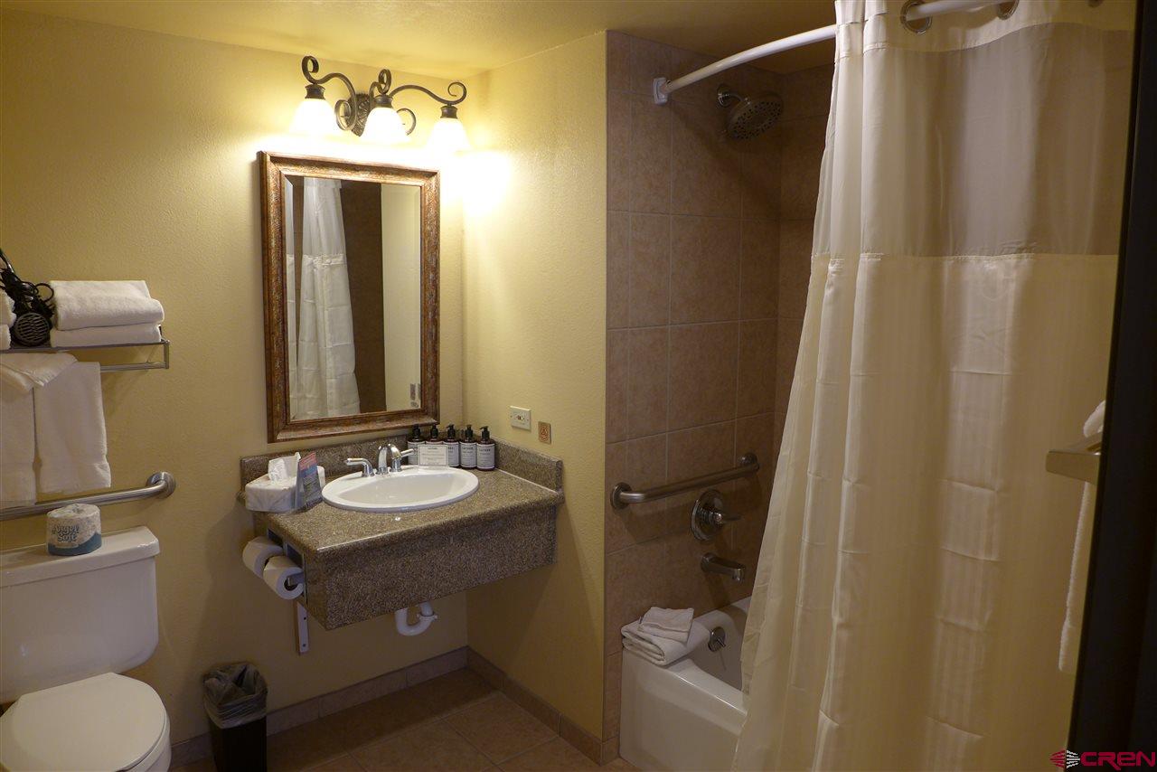 6 Emmons Road, Unit 204 Crested Butte, CO 81225 - Photo 3 of 14