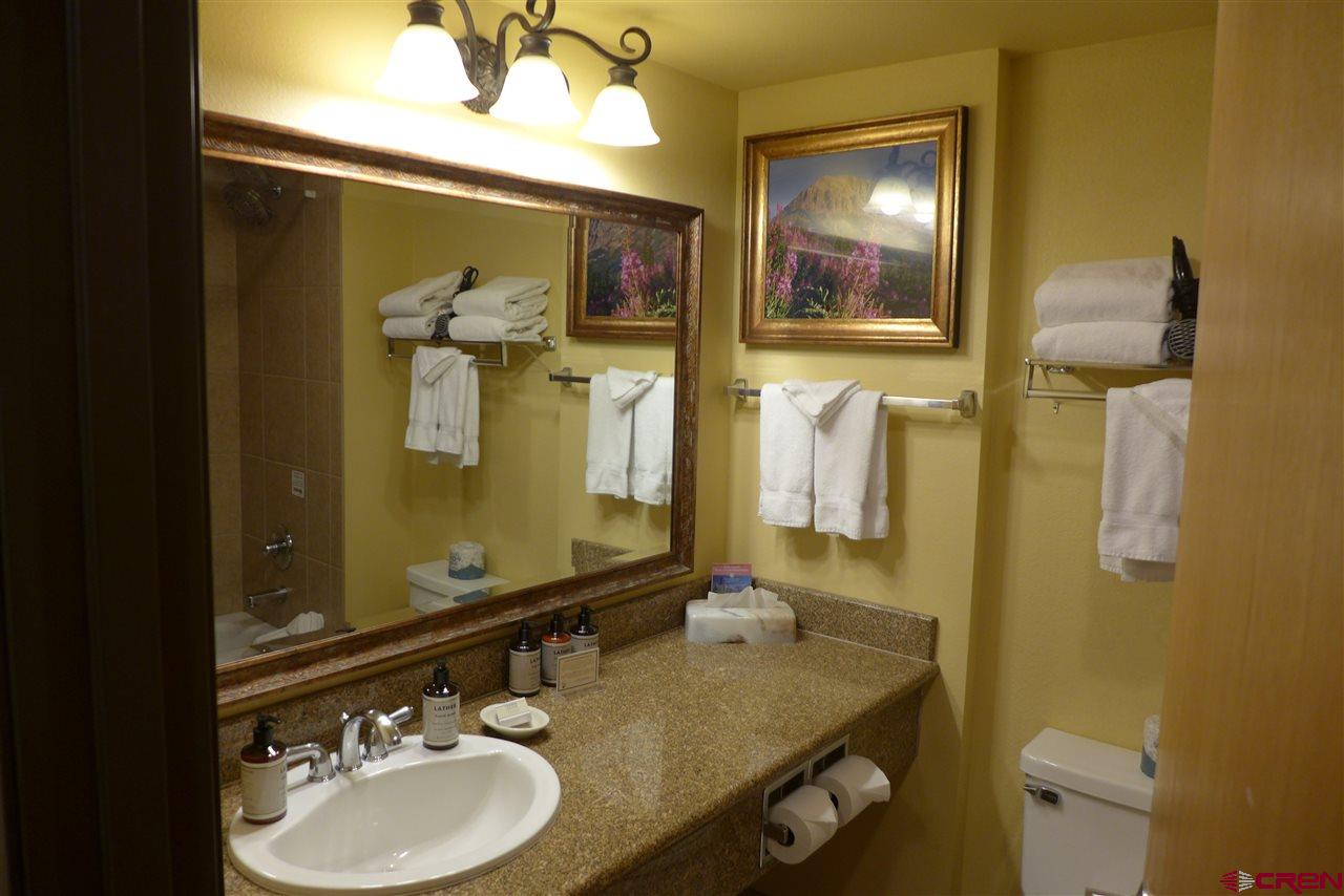 6 Emmons Road, Unit 204 Crested Butte, CO 81225 - Photo 9 of 14