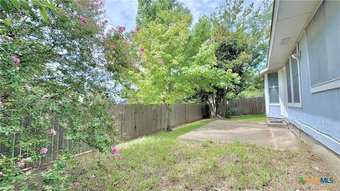 902 Jasmine Trail Georgetown, TX 78626 - Photo 17 of 17
