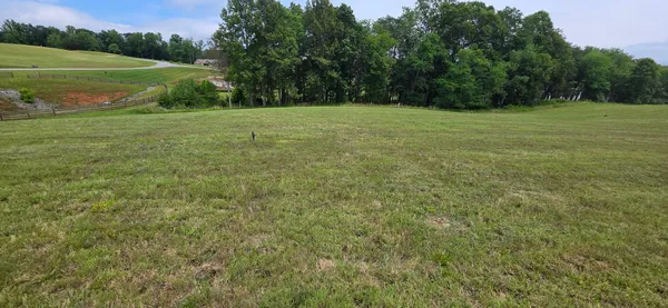 a view of a green field with clear sky