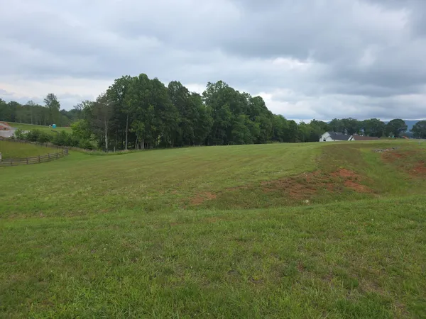 a view of field of grass and trees