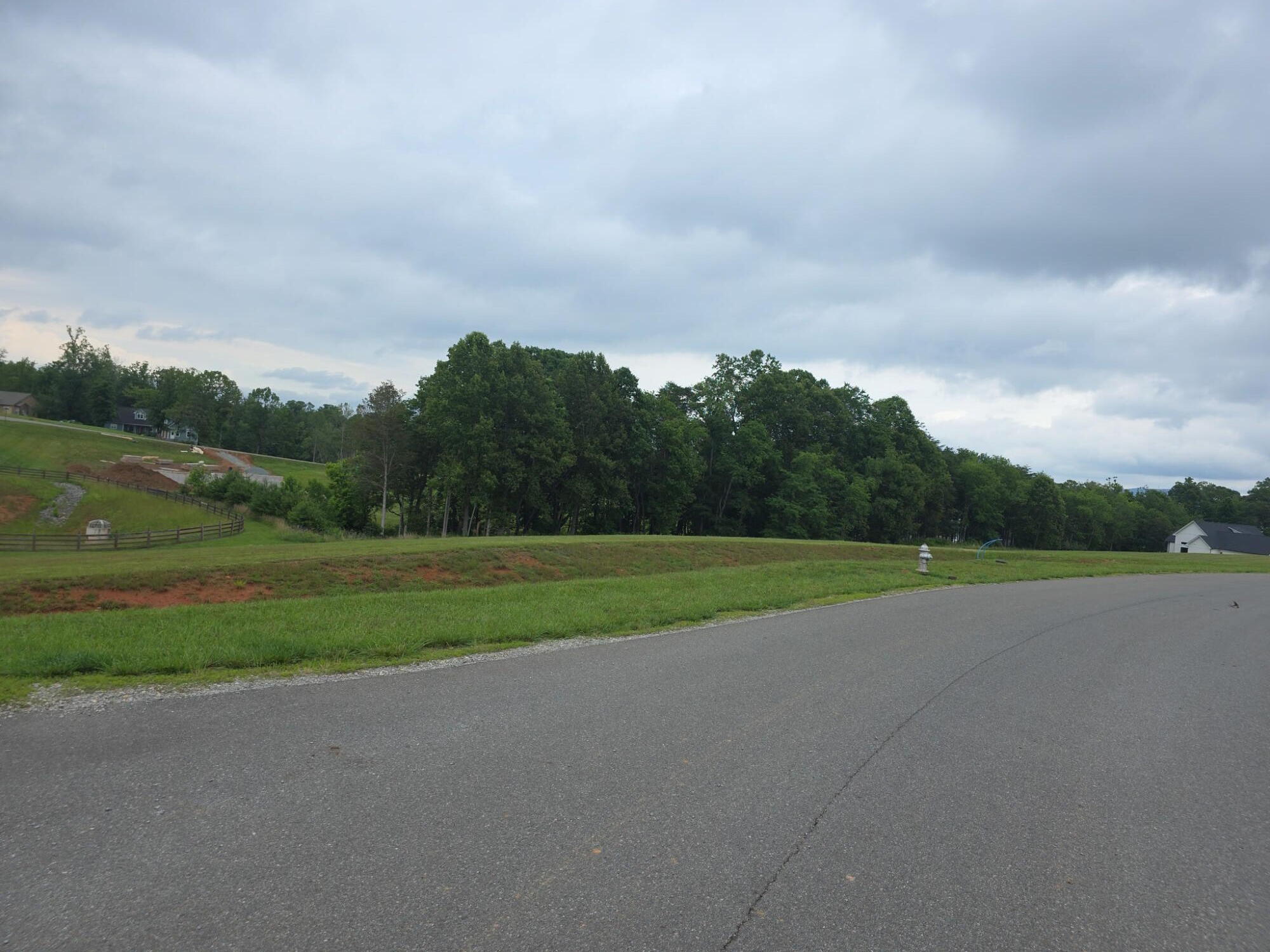 81 Hyannis Point Union Hall, VA 24176 - Photo 6 of 6 a view of field of grass and trees