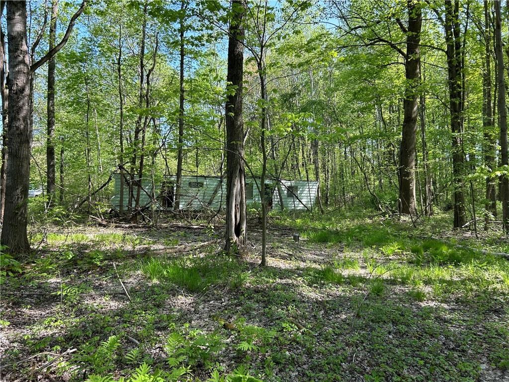 0 Sherretts Road Linesville, PA 16424 - Photo 11 of 15