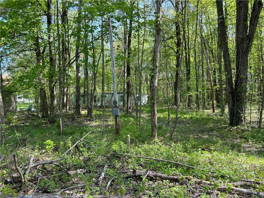 0 Sherretts Road Linesville, PA 16424 - Photo 13 of 15