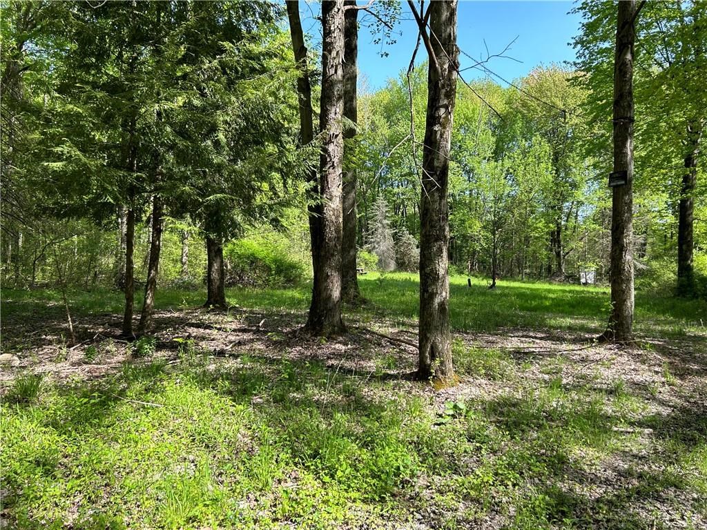 0 Sherretts Road Linesville, PA 16424 - Photo 4 of 15