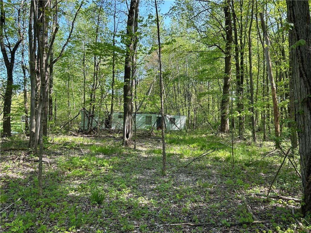 0 Sherretts Road Linesville, PA 16424 - Photo 10 of 15