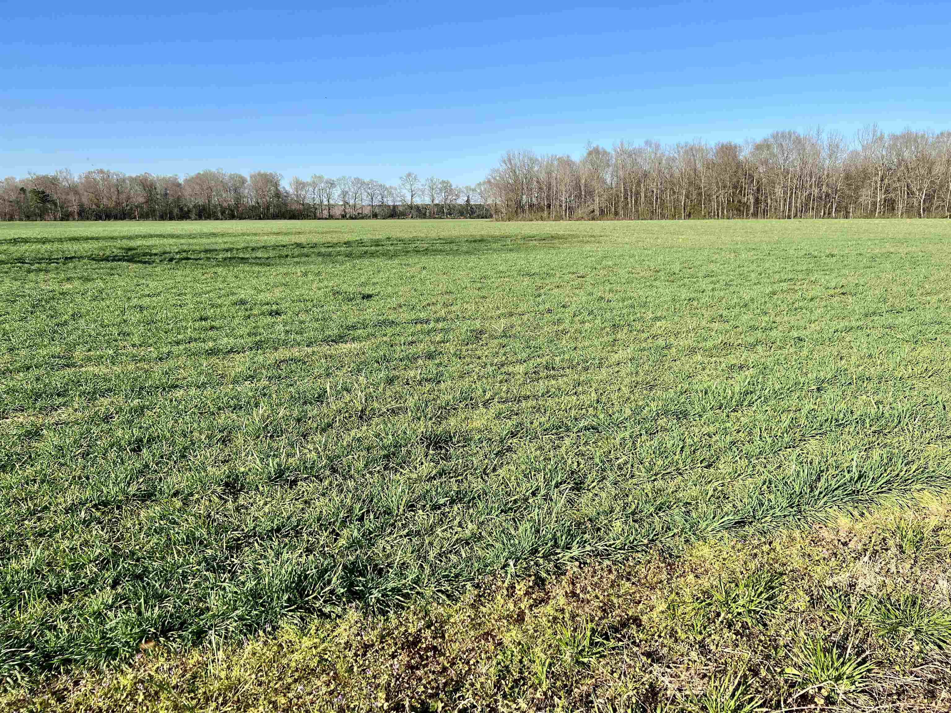 0 Country Road Atmore, AL 36502 - Photo 20 of 27
