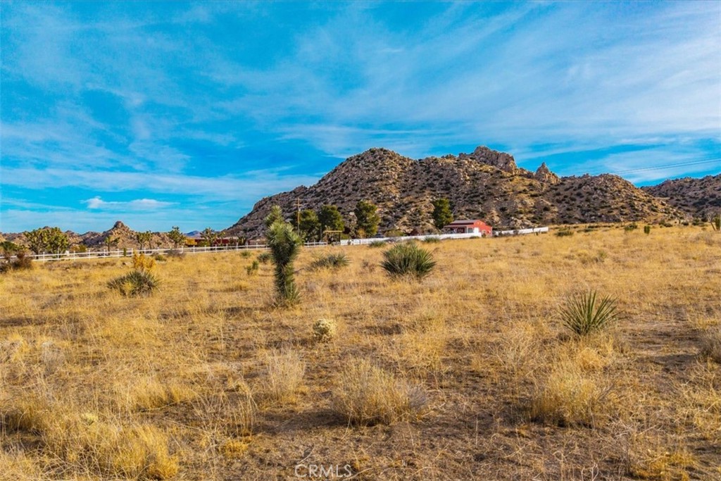 59 Curtis Road Pioneertown, CA 92268 - Photo 5 of 16