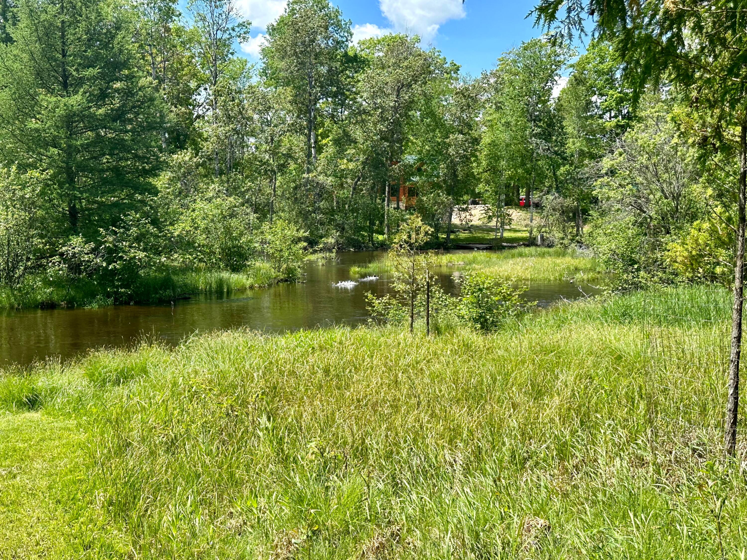 10085 Twin Bridge Road Grayling, MI 49738 - Photo 77 of 85 Gallery Image 77