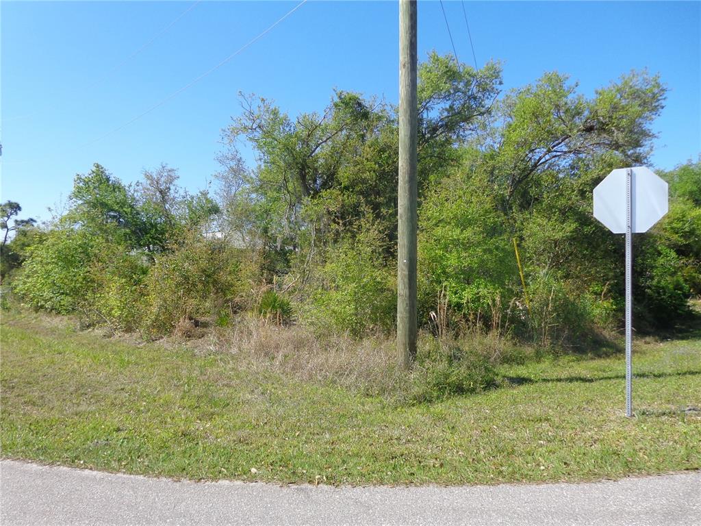 213 Evergreen Street Punta Gorda, FL 33982 - Photo 4 of 10 a view of a yard with an outdoor space