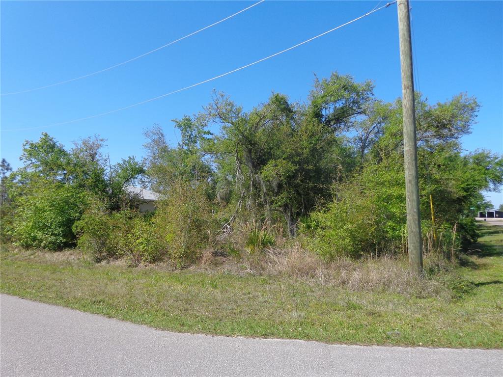 213 Evergreen Street Punta Gorda, FL 33982 - Photo 6 of 10 a view of a yard