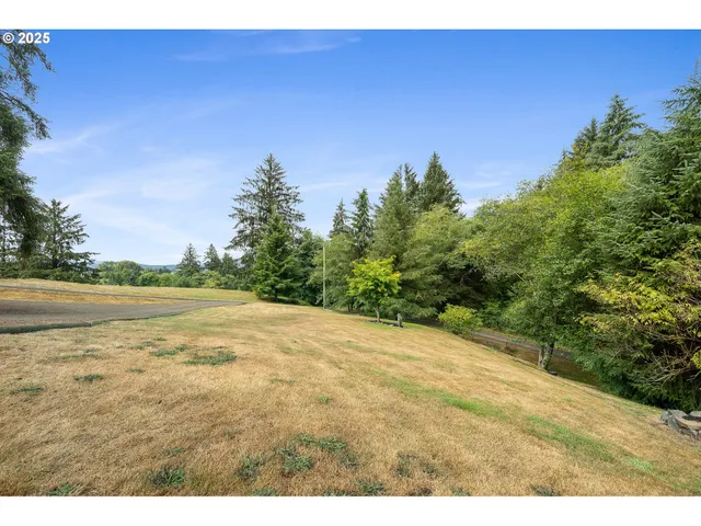 a view of a backyard of the house