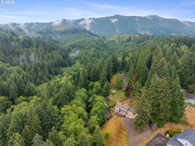 an aerial view of green landscape with trees houses and mountain view