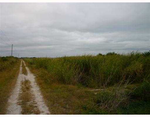 Tbd Southwest Tbd Sw Farms Road Indiantown, FL 34956 - Photo 1 of 9 Primary Photo