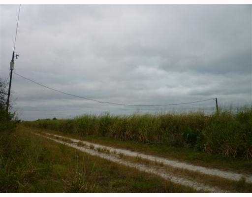 Tbd Southwest Tbd Sw Farms Road Indiantown, FL 34956 - Photo 4 of 9 Additional Photo