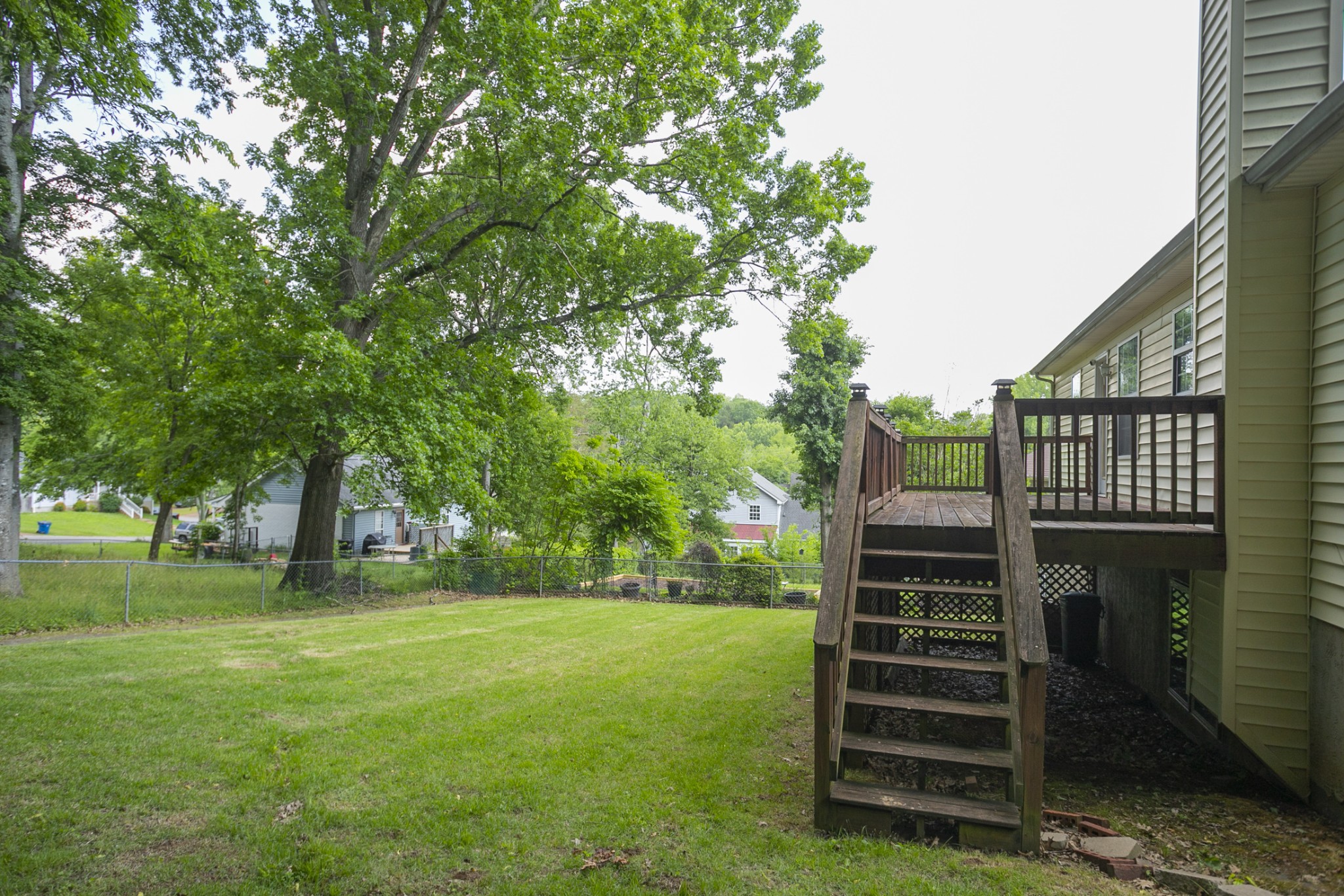1609 Robards Way Hermitage, TN 37076 - Photo 43 of 43 a view of a yard with plants and a large tree