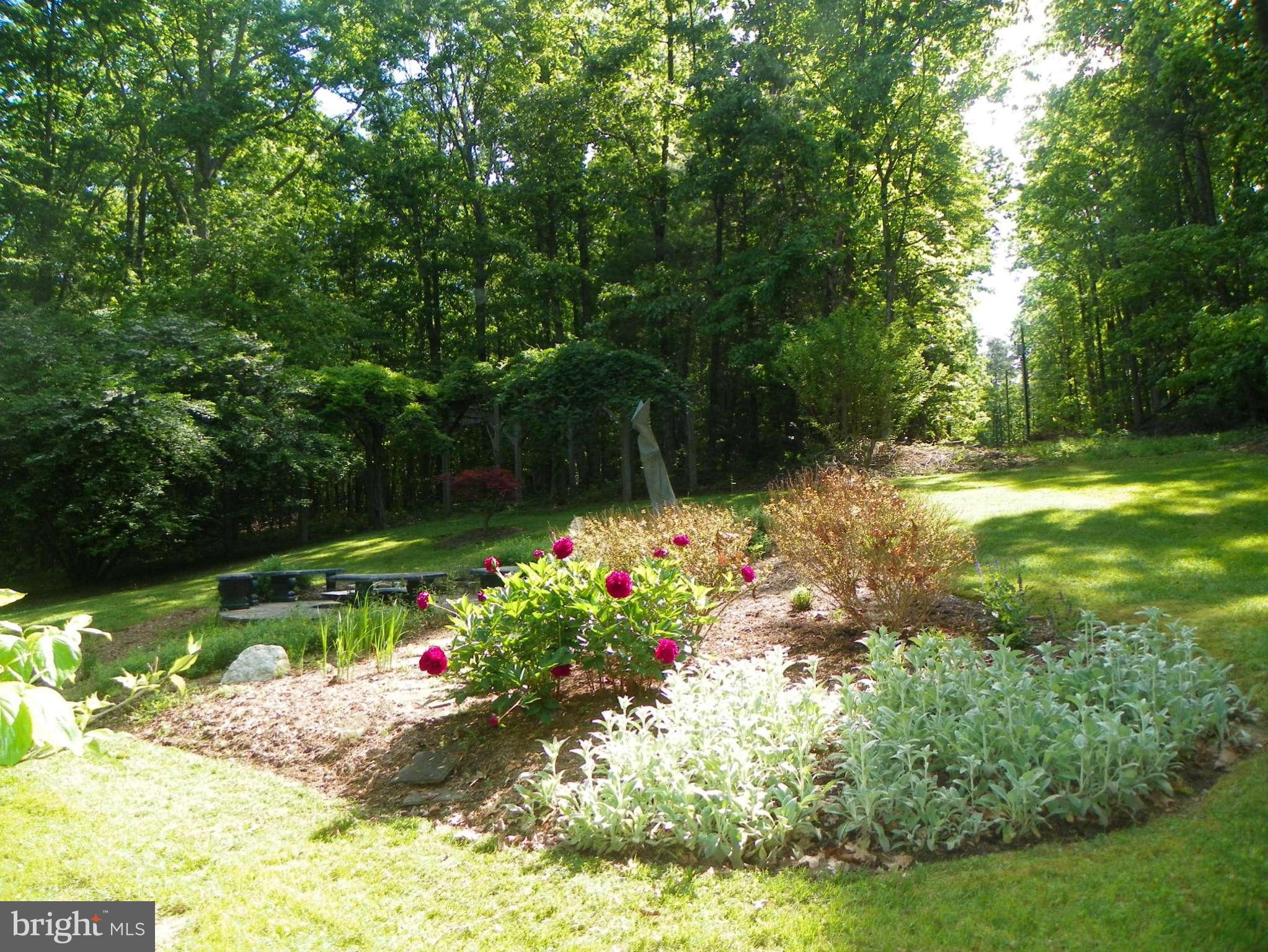 6387 Swains Road Marshall, VA 20115 - Photo 27 of 30 Exterior (General)
