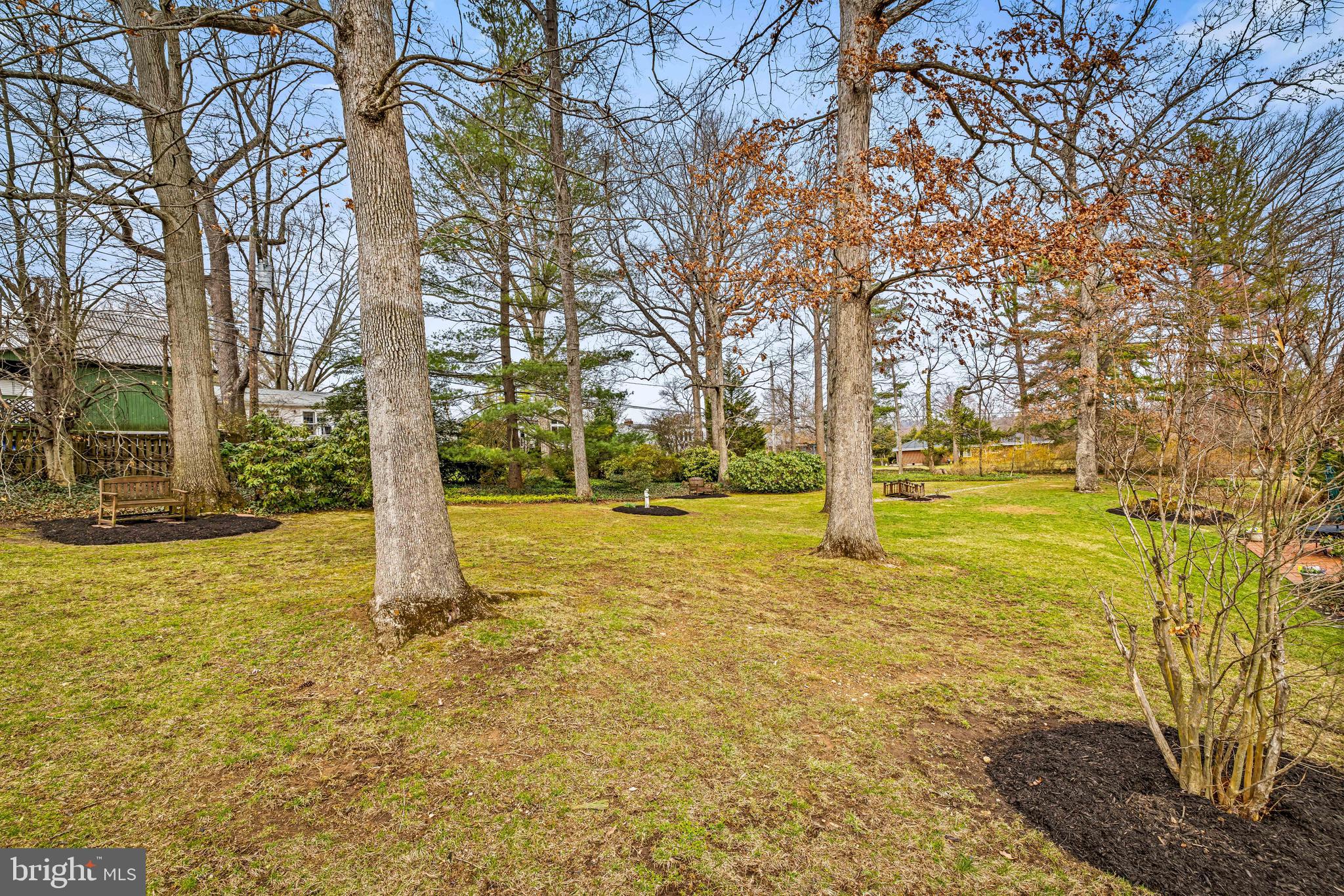 200 Purlington Road Lutherville-Timonium, MD 21093 - Photo 41 of 50 a view of yard with tree